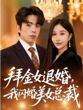拜金女退婚，我闪婚美女总裁